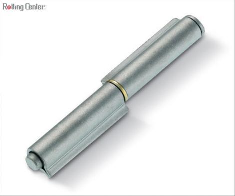 Scharnier mit 2 geschlossenen Flügeln und ausziehbarem Stift - Länge 80 - Edelstahl
